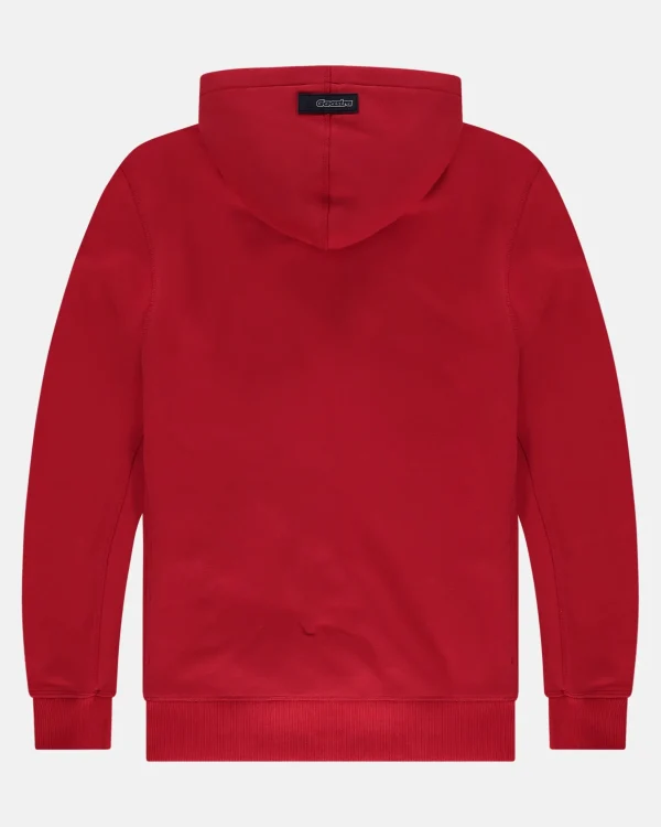 Truien En Sweaters-Gaastra Arctic Hoodie Gemaakt Van Biologisch Katoen