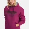 Truien En Sweaters-Gaastra Boyfriend Trui Pippa Met Capuchon