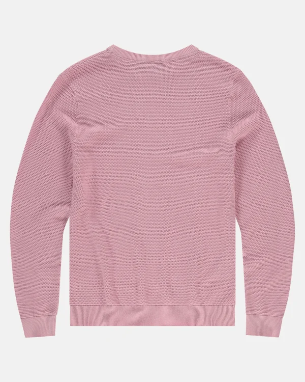 Truien En Sweaters-Gaastra 100% Katoenen Boyd Trui