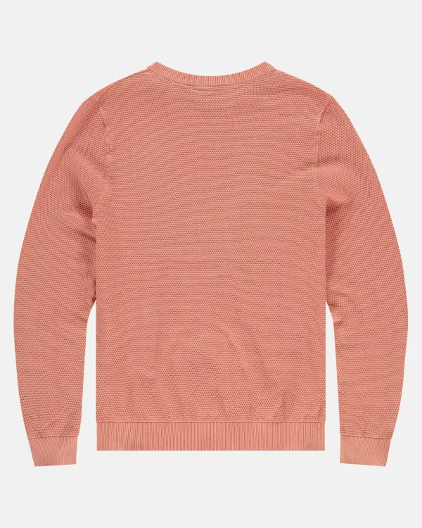 Truien En Sweaters-Gaastra 100% Katoenen Boyd Trui