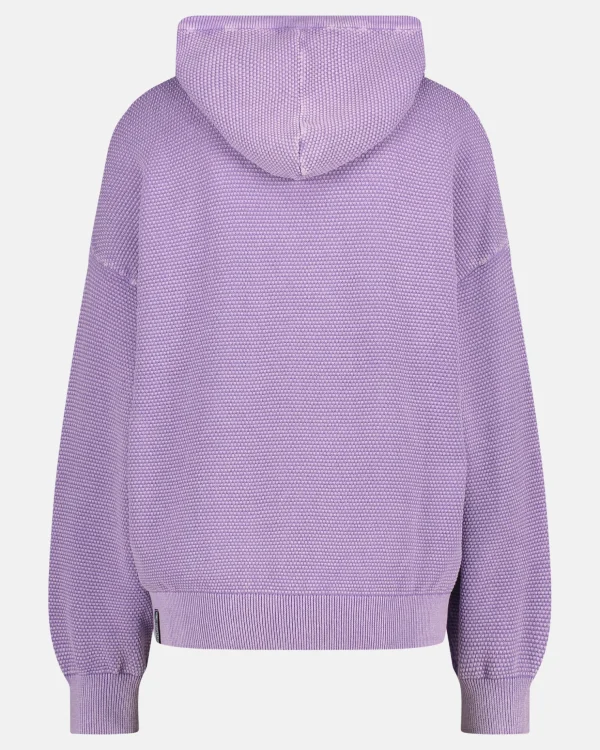 Truien En Sweaters-Gaastra Katoenen Sweater Keira Met Capuchon