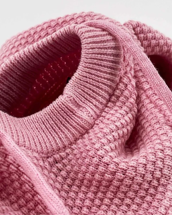 Truien En Sweaters-Gaastra Katoenen Sweater Keira Met Capuchon