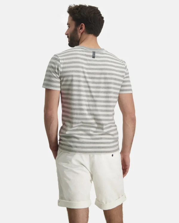 Polo'S En T-Shirts-Gaastra Klassiek Gestreepte Williamson T-Shirt
